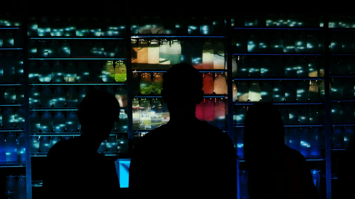 Pagina-Politica-de-Privacidade